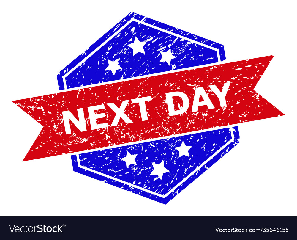 Hexagonal bicolor next day rubber stamp Royalty Free Vector