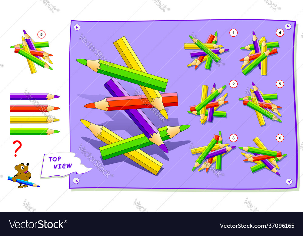 Logic puzzle game for kids need to find correct vector image Logic puzzle game for kids need to find correct
