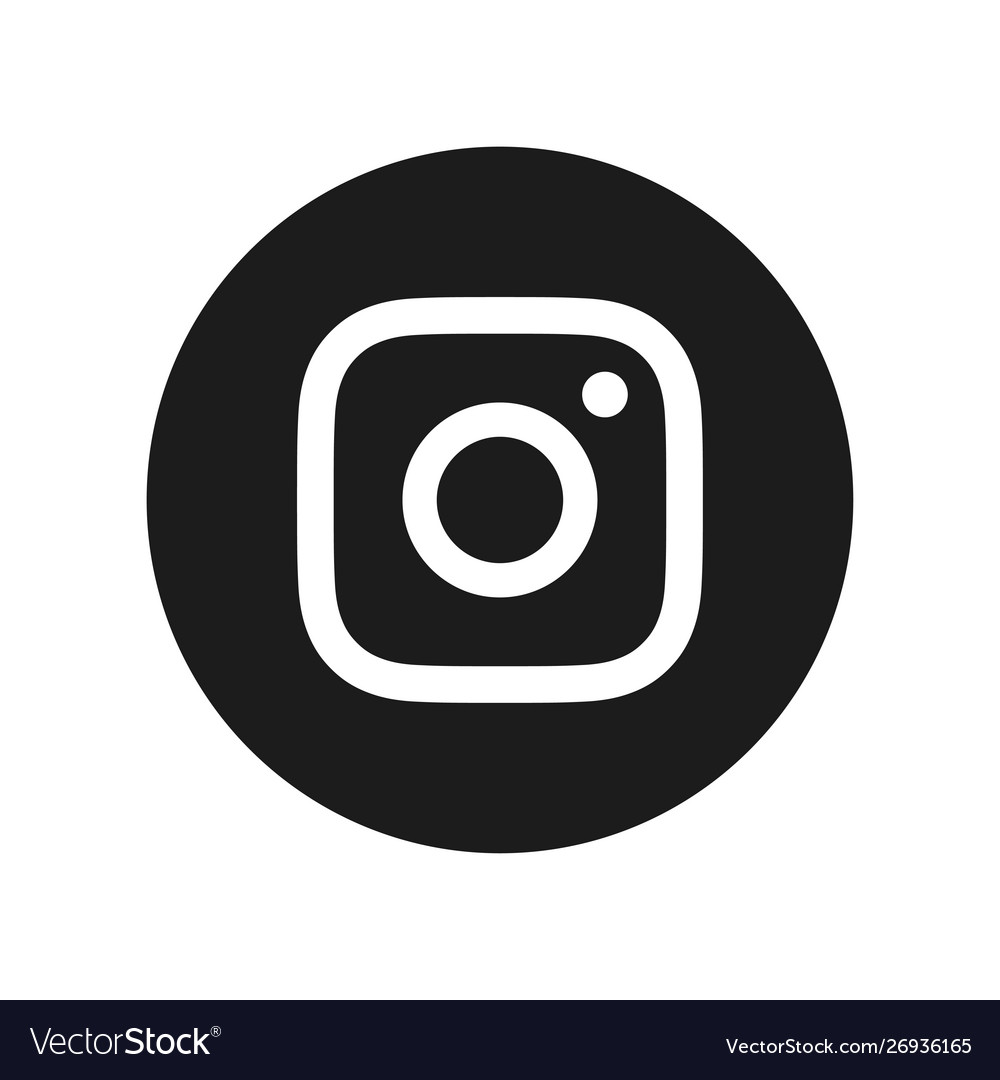 Photo camera icon instagram digital application Vector Image