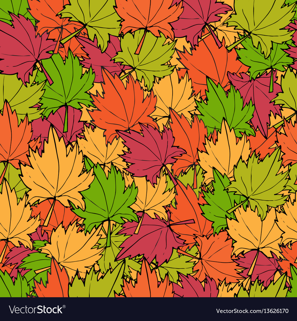 Autumn maple leaves Royalty Free Vector Image - VectorStock