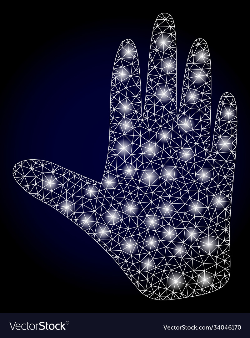 Bright web net hand with lightspots vector image Bright web net hand with lightspots