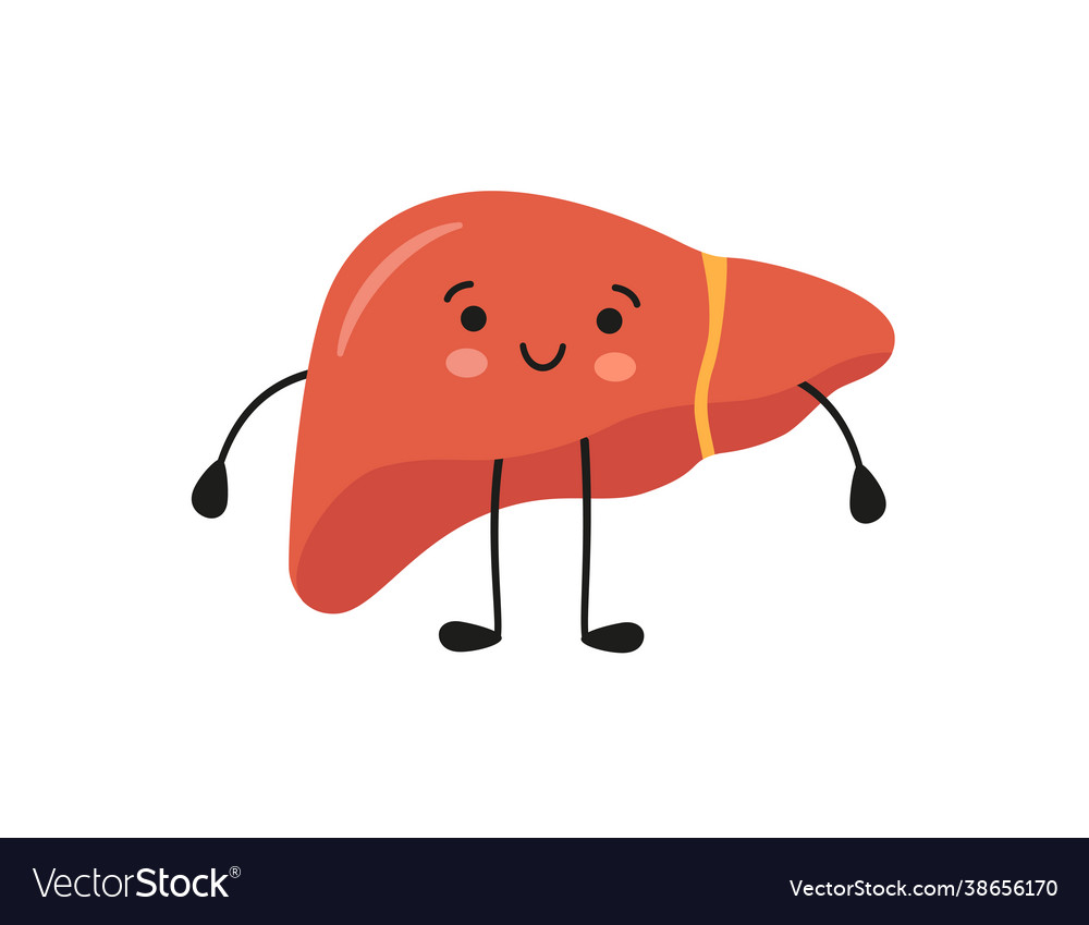 Healthy happy smiling cute liver character