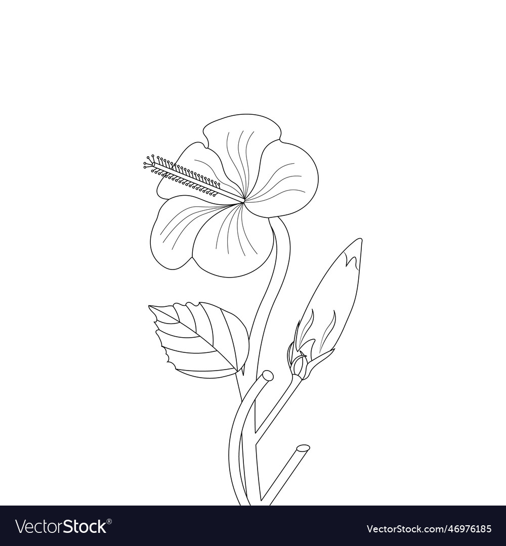 Doodle flower drawing coloring page for adults lin