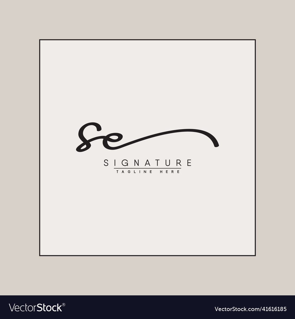 Elegant SE Initial Signature Logo
