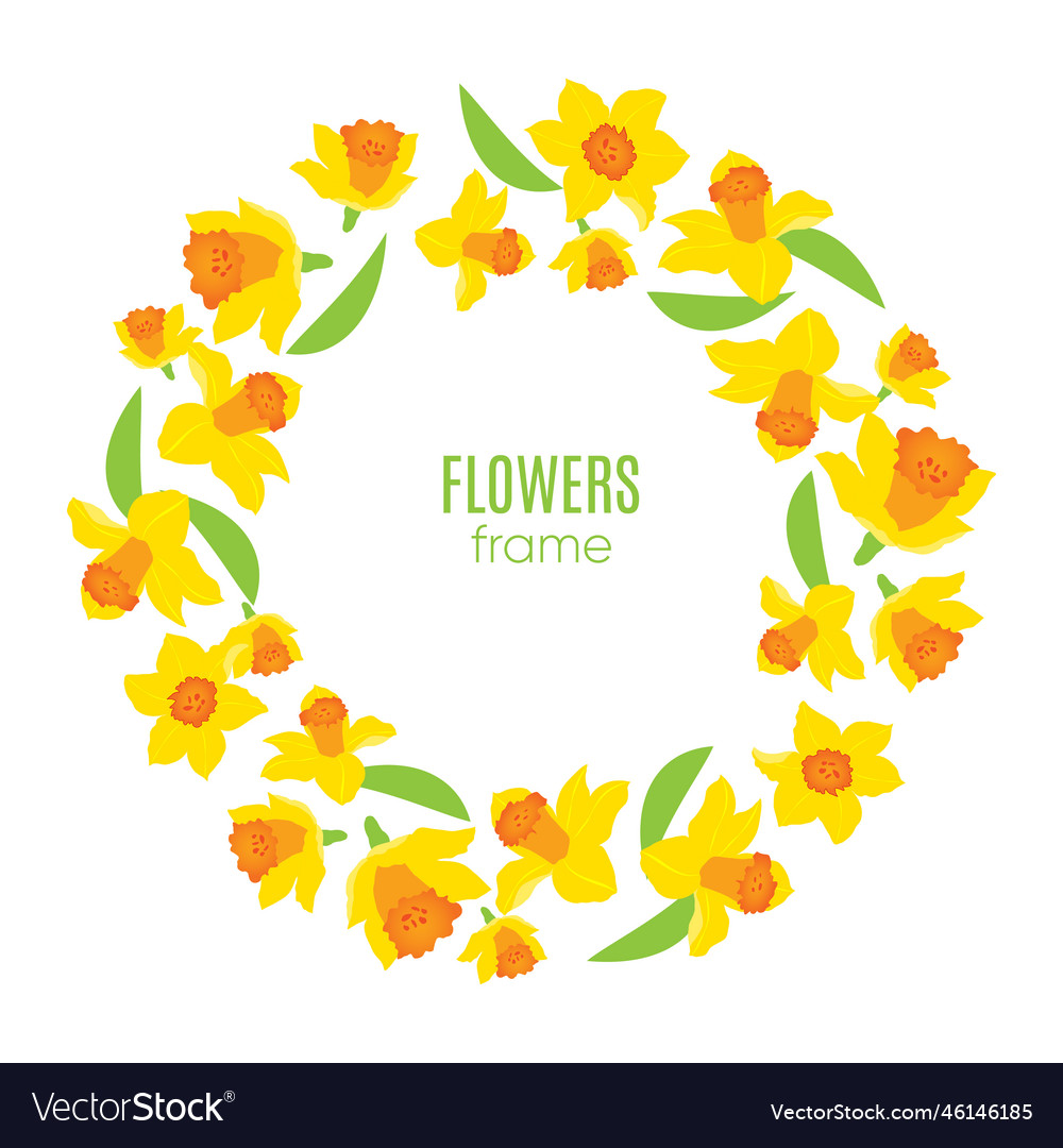 Frame with yellow spring daffodils vector image Frame with yellow spring daffodils