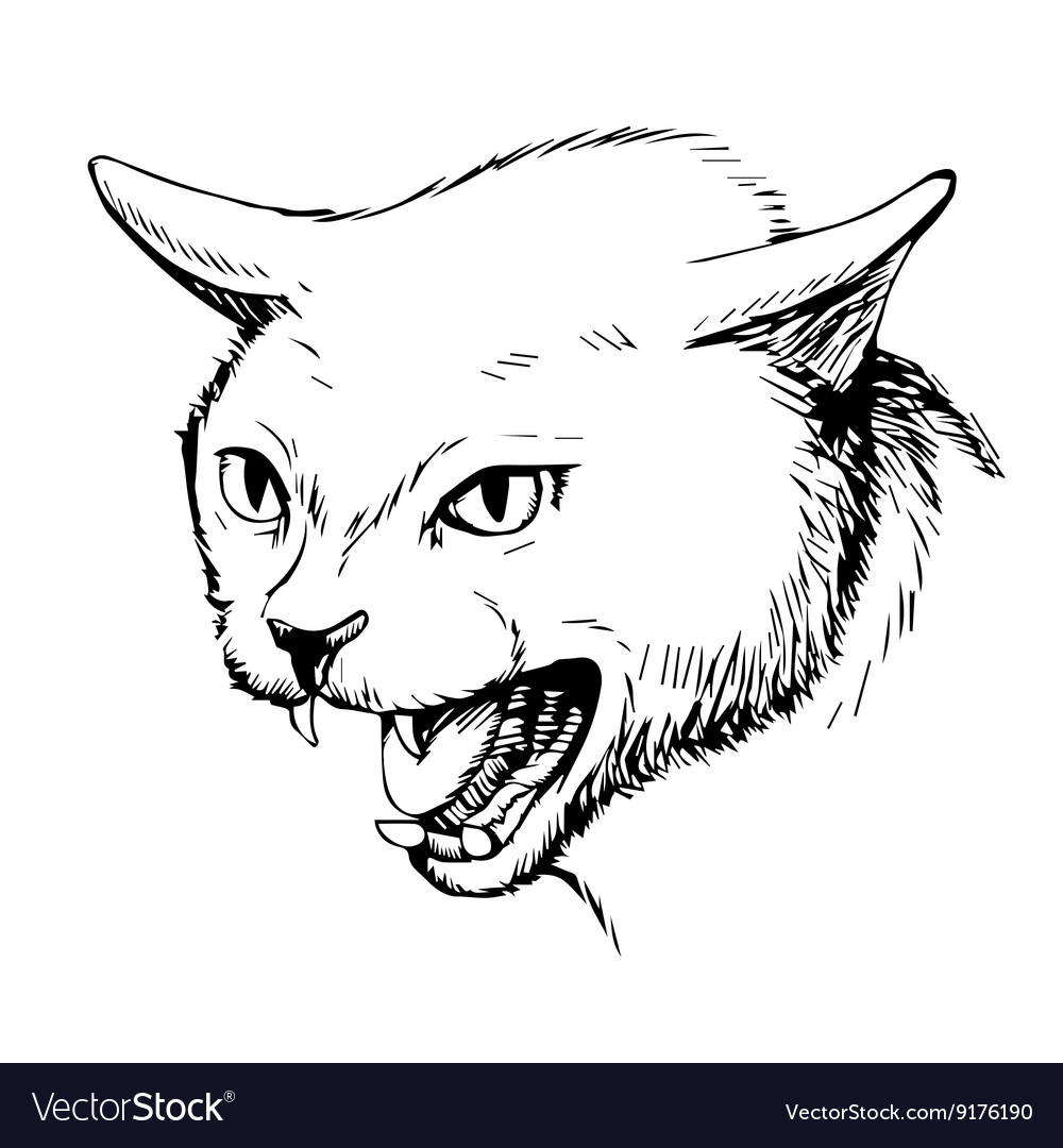 Angry cat face Royalty Free Vector Image - VectorStock