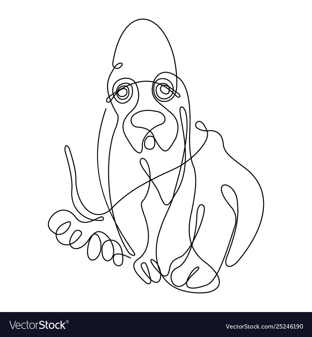 Basset hound dogone line drawing continuous Vector Image