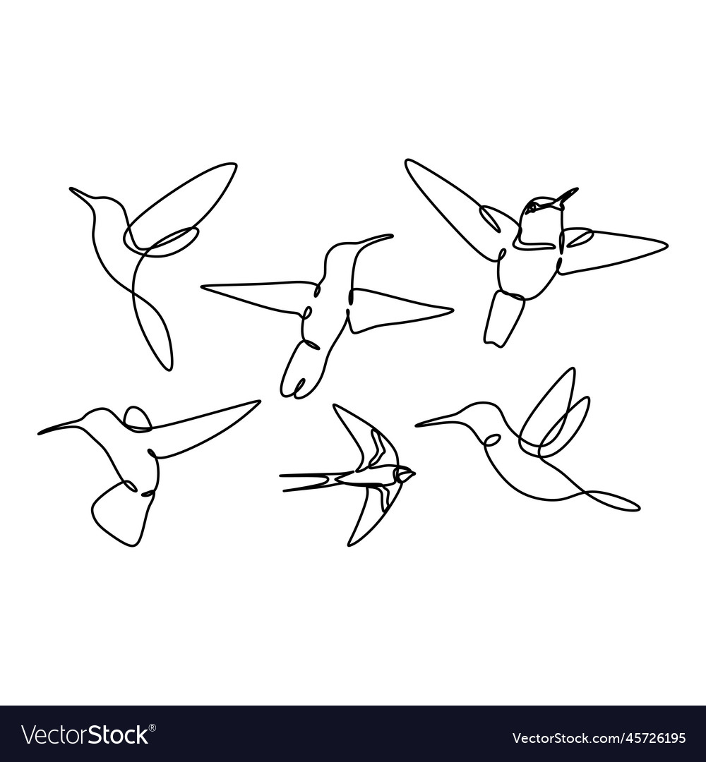 Bird continuous line drawing set collections vector image Bird continuous line drawing set collections