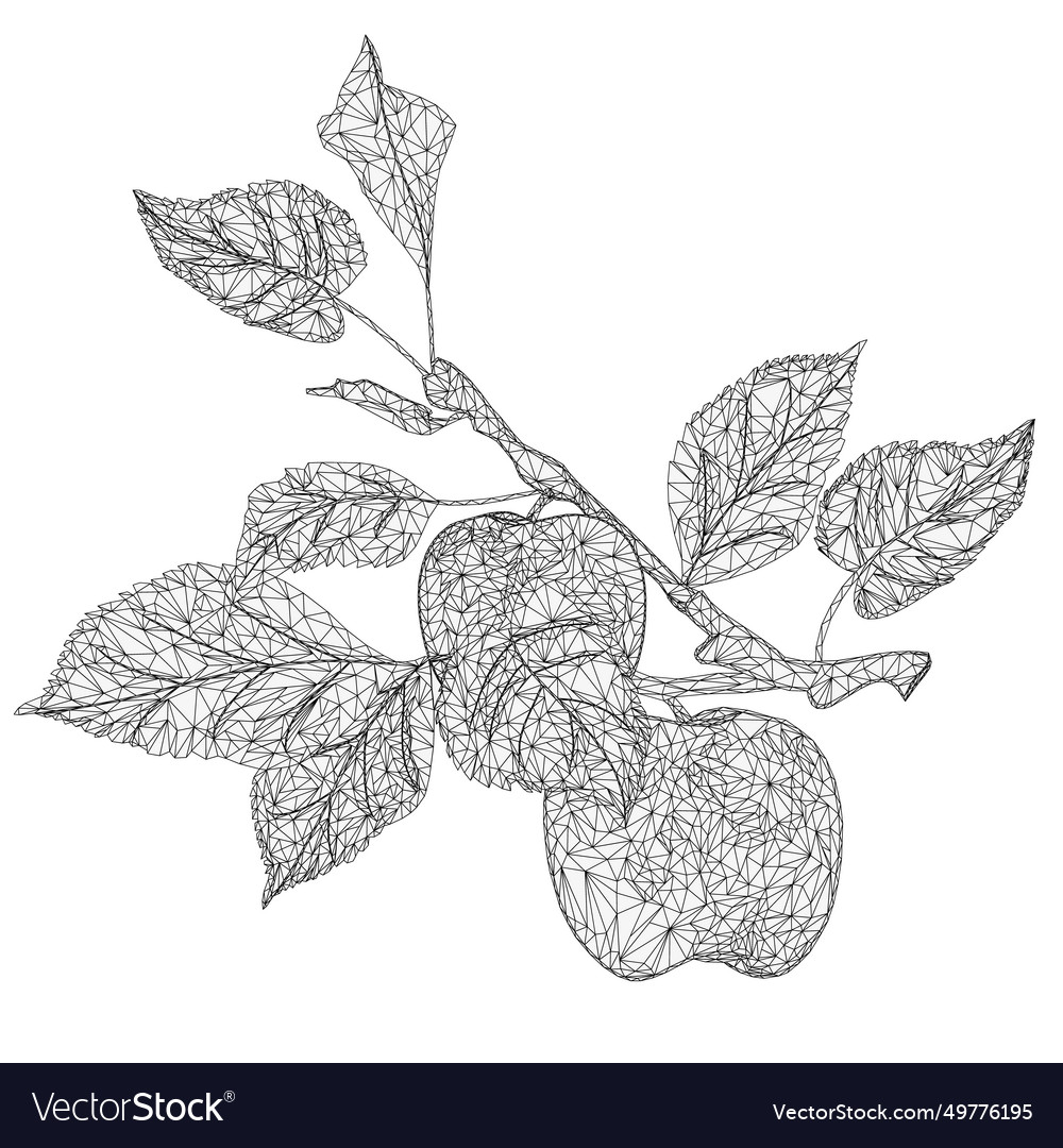 Branch apple tree with apples outline