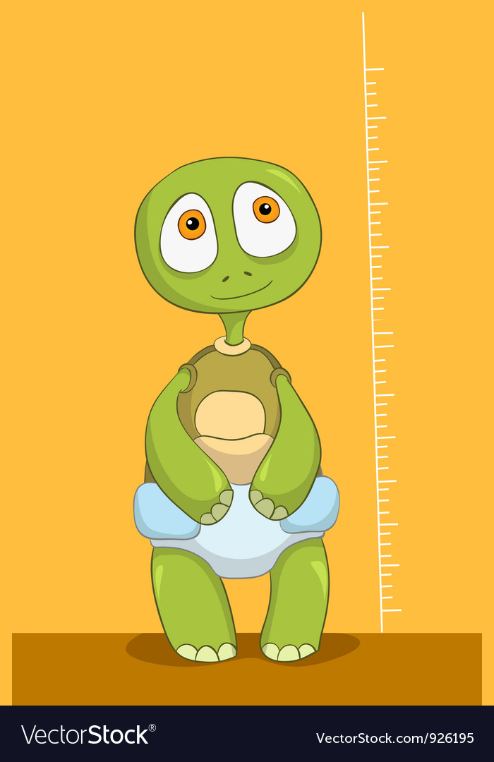 Funny turtle baby measure