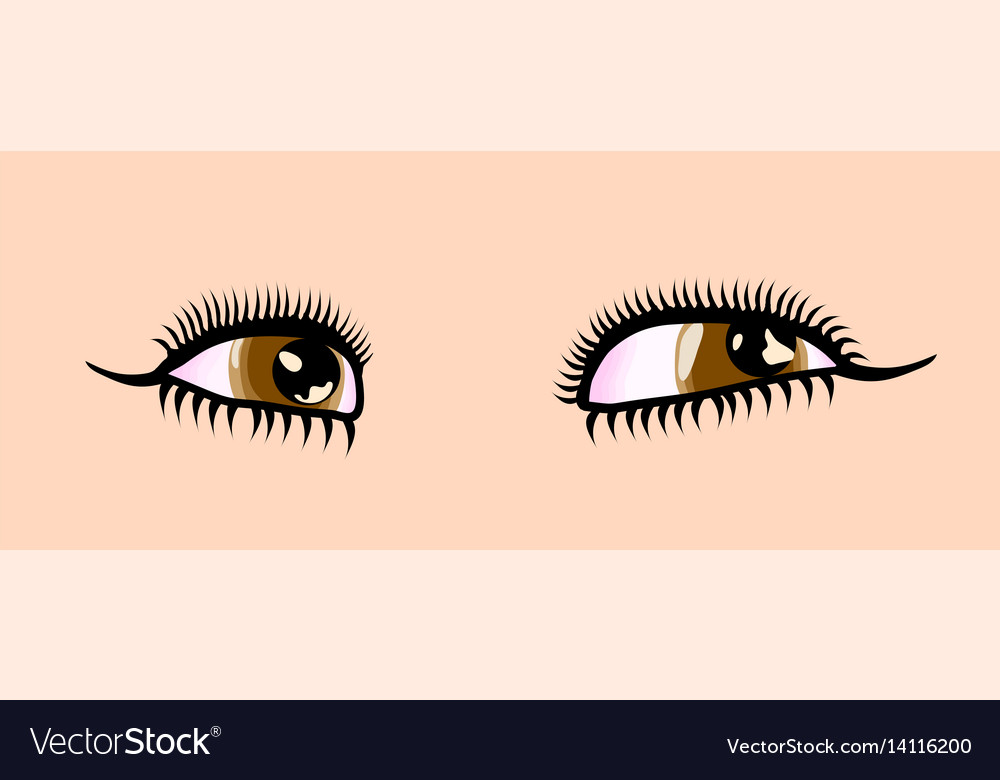 Female cartoon style detailed brown eyes Vector Image
