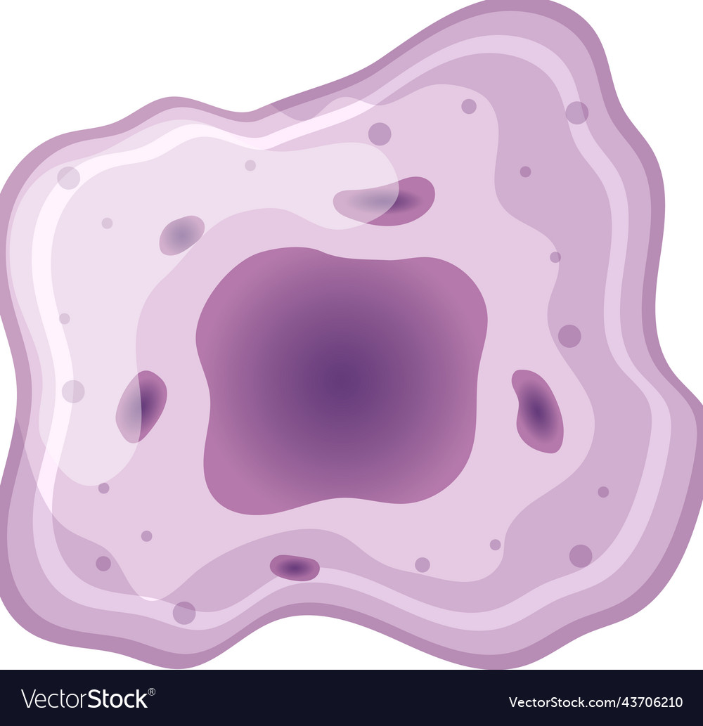 Bacteria cell cartoon Royalty Free Vector Image