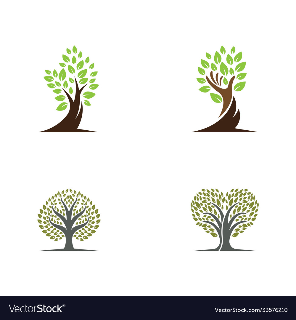 Tree symbol vector image Tree symbol
