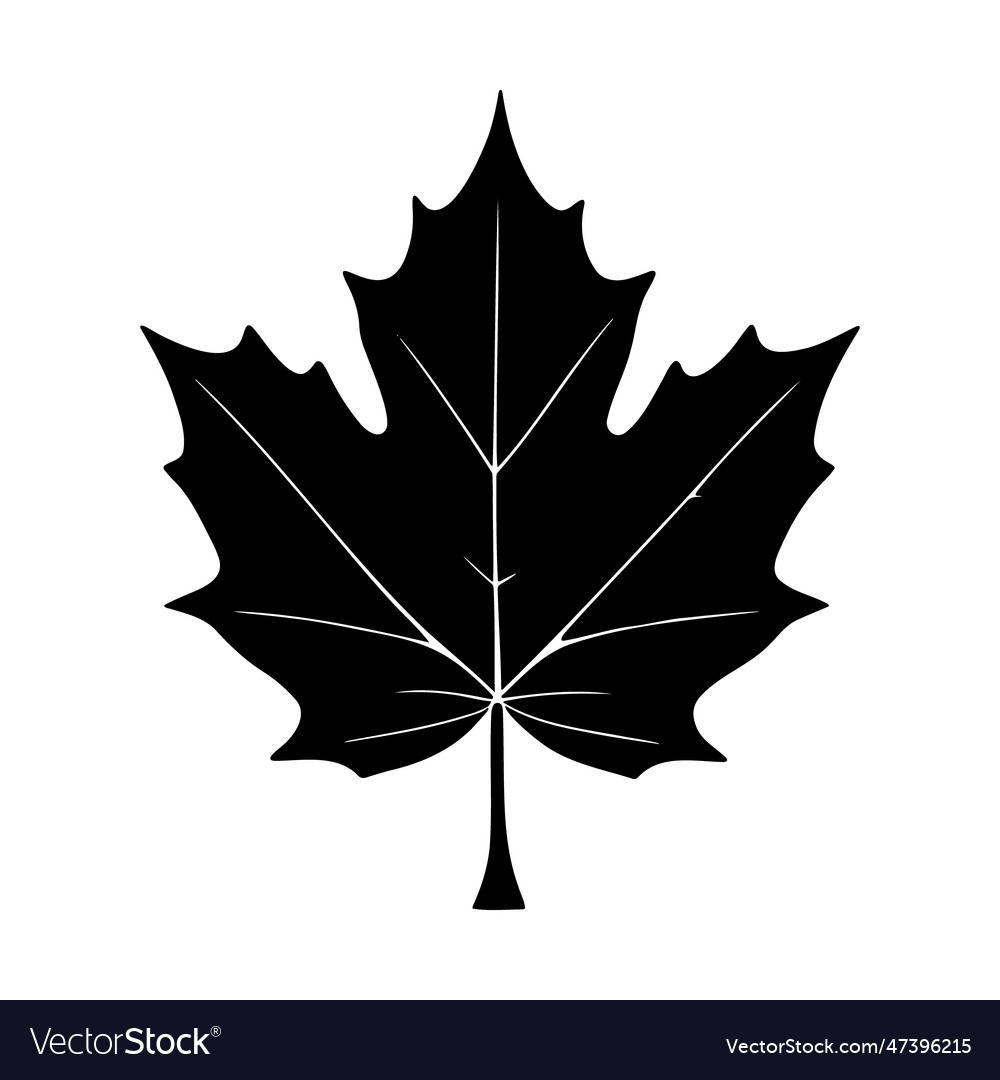 Maplle leaf silhouette logo isolated on white Vector Image