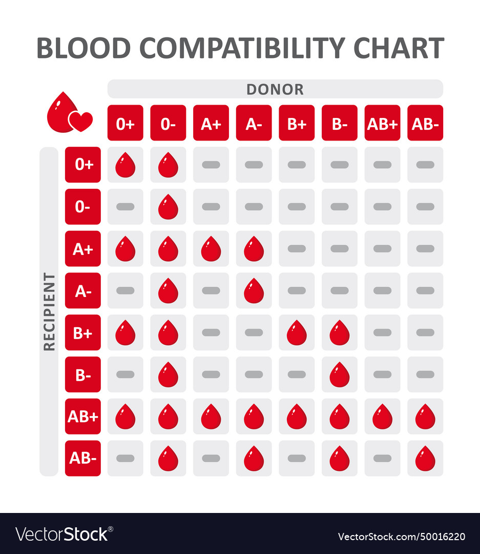 Blood group compatibility table Royalty Free Vector Image