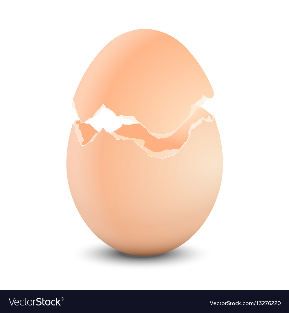 Broken Egg Shell