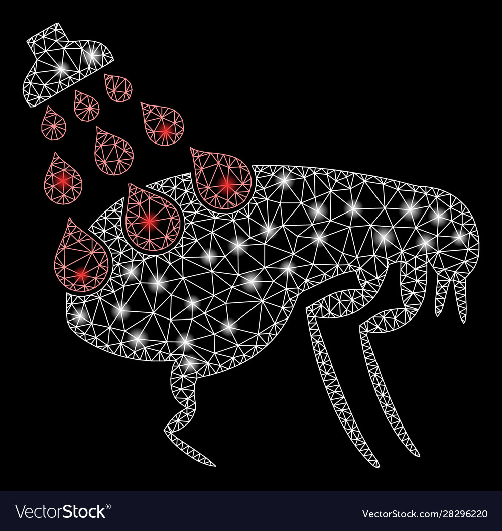 Flare mesh wire frame get rid fleas with vector image Flare mesh wire frame get rid fleas with