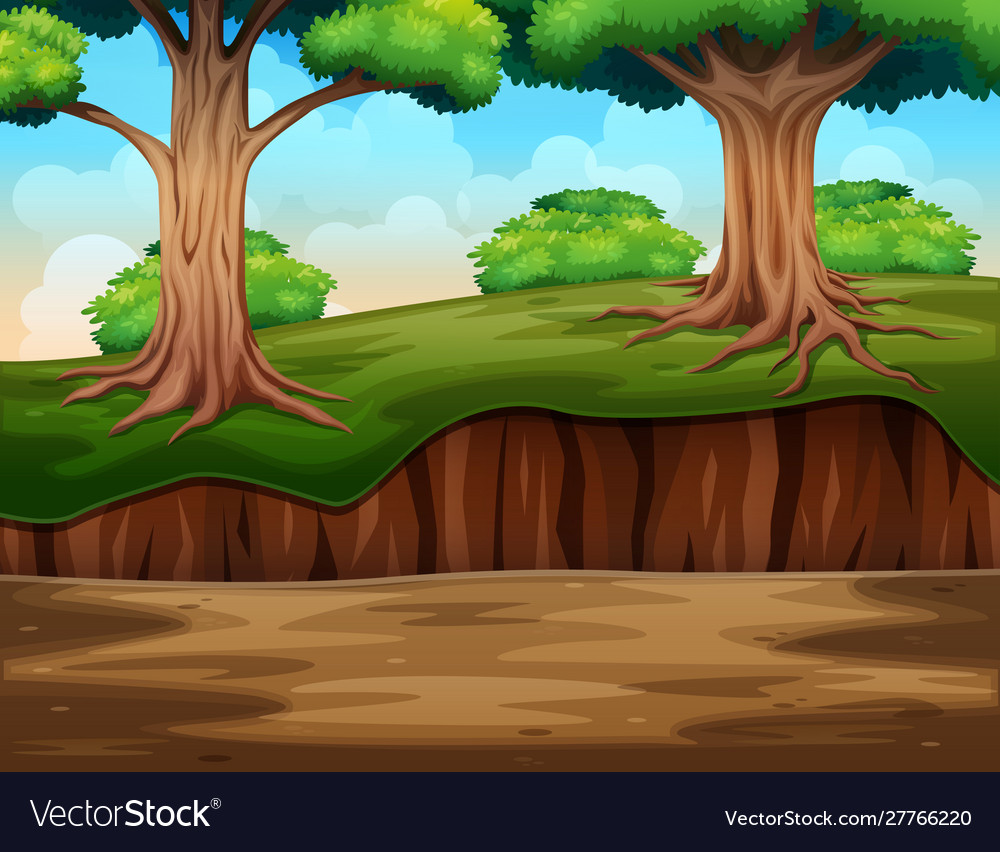 Jungle Landscape Background Royalty Free Vector Image