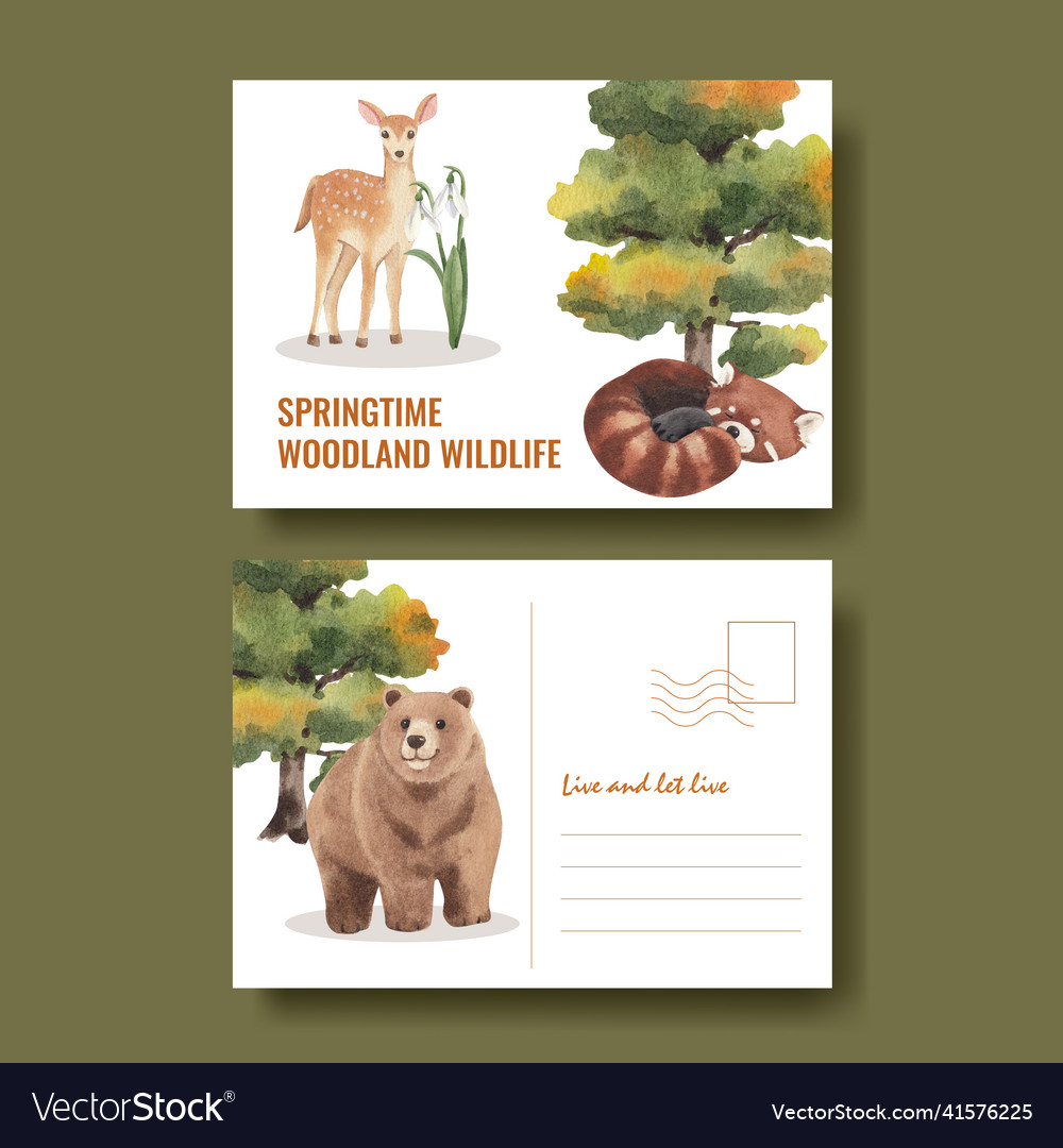 Postcard template with spring woodland wildlife Vector Image