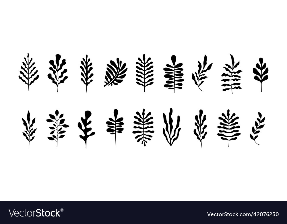 Abstract botanical wall art contemporary art vector image Abstract botanical wall art contemporary art