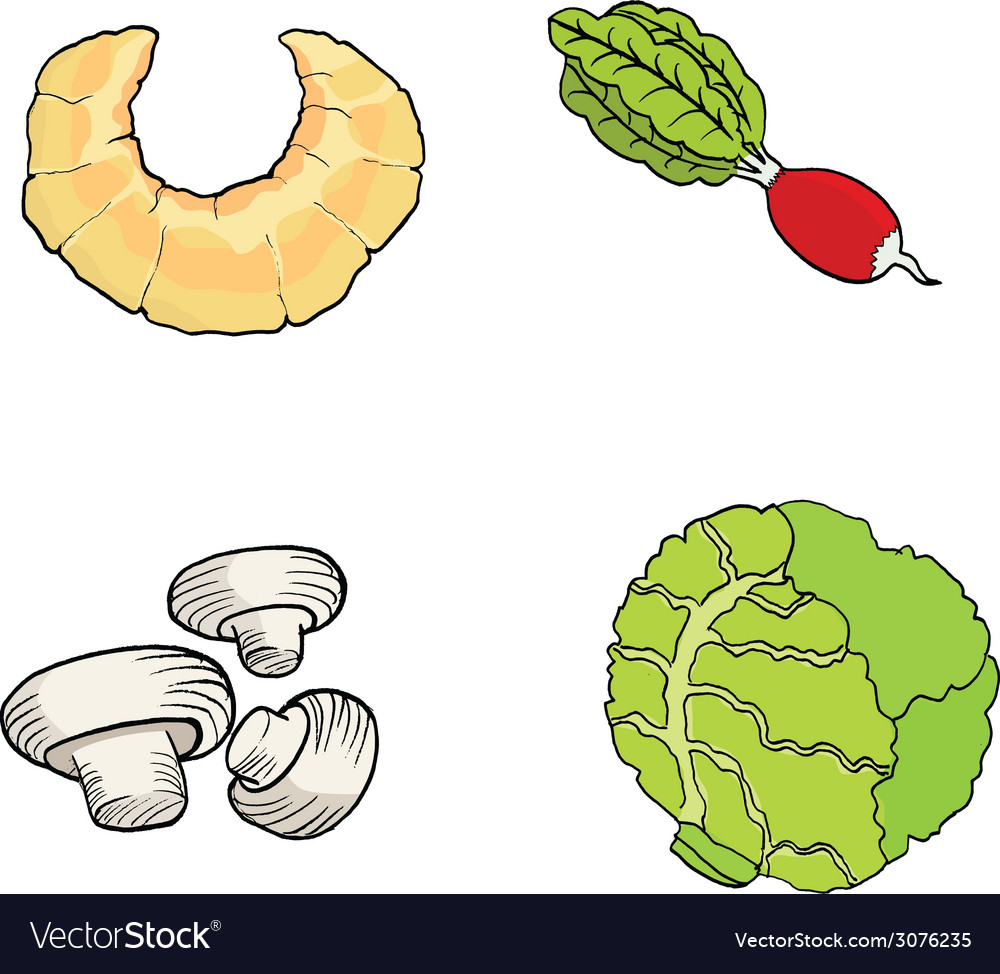 Croissantradishchampignonscabbage hand drawn