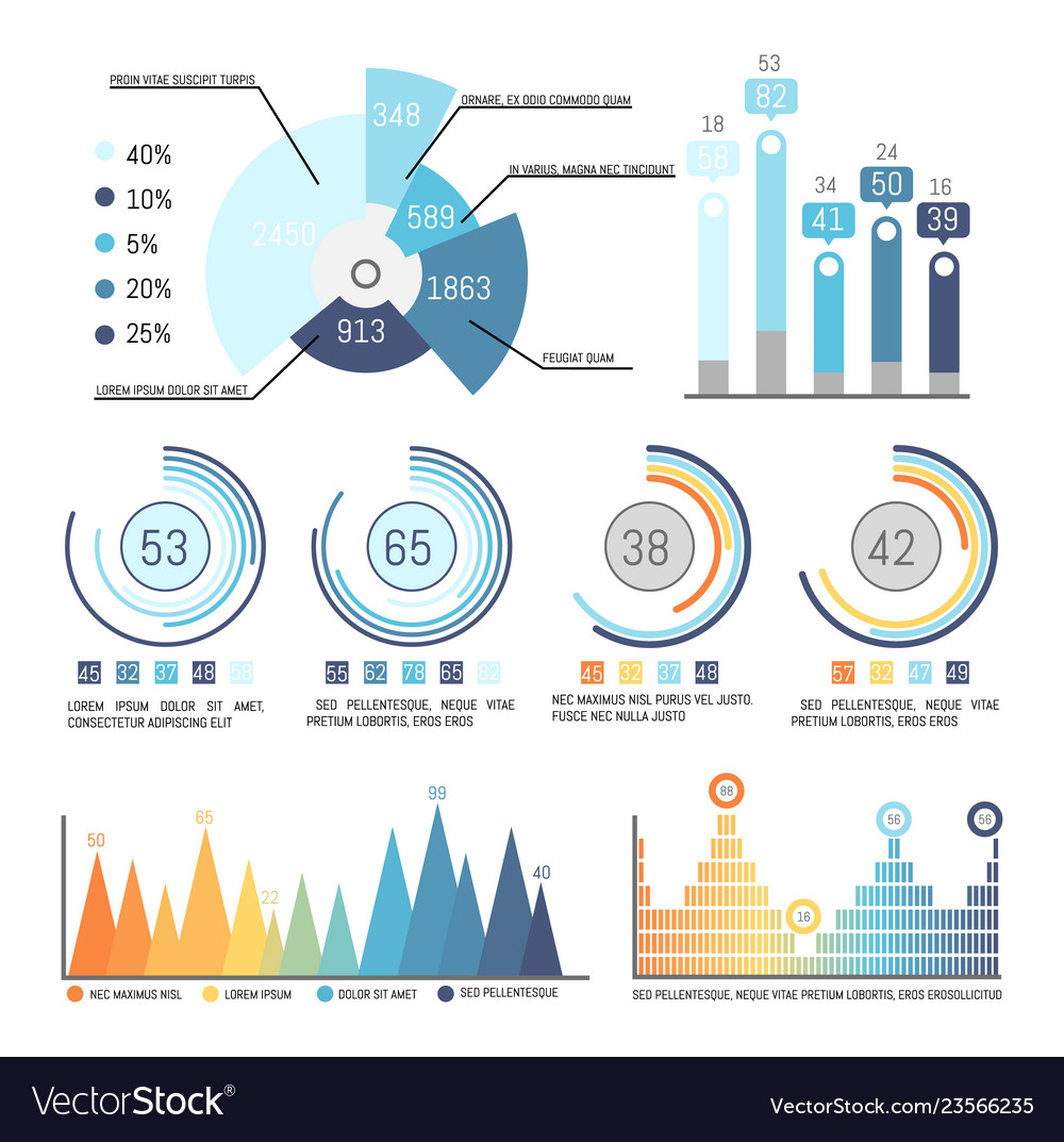 Pie Chart with Percentage Breakdown