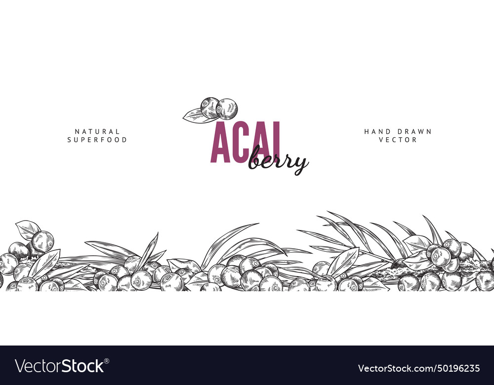 Seamless pattern border with acai berries vector image Seamless pattern border with acai berries