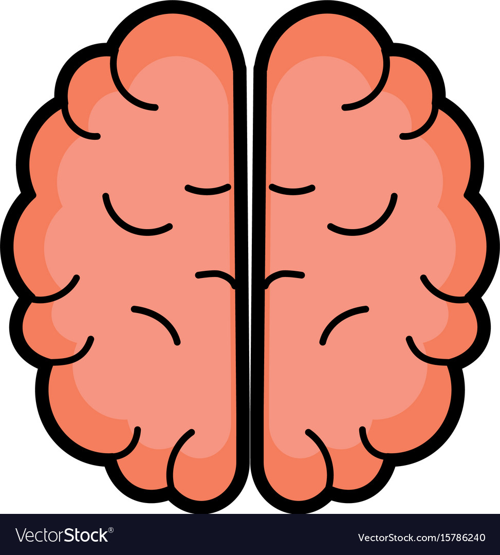 Creative brain with idea over white background