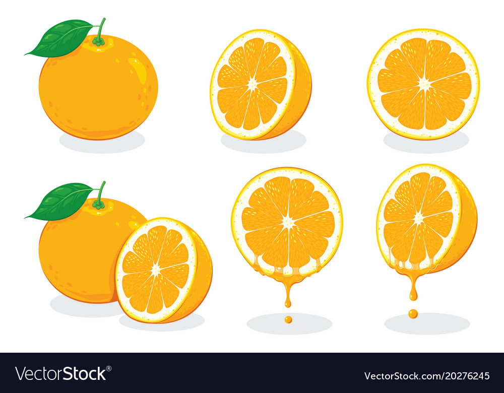 Fresh orangevitamin c Royalty Free Vector Image