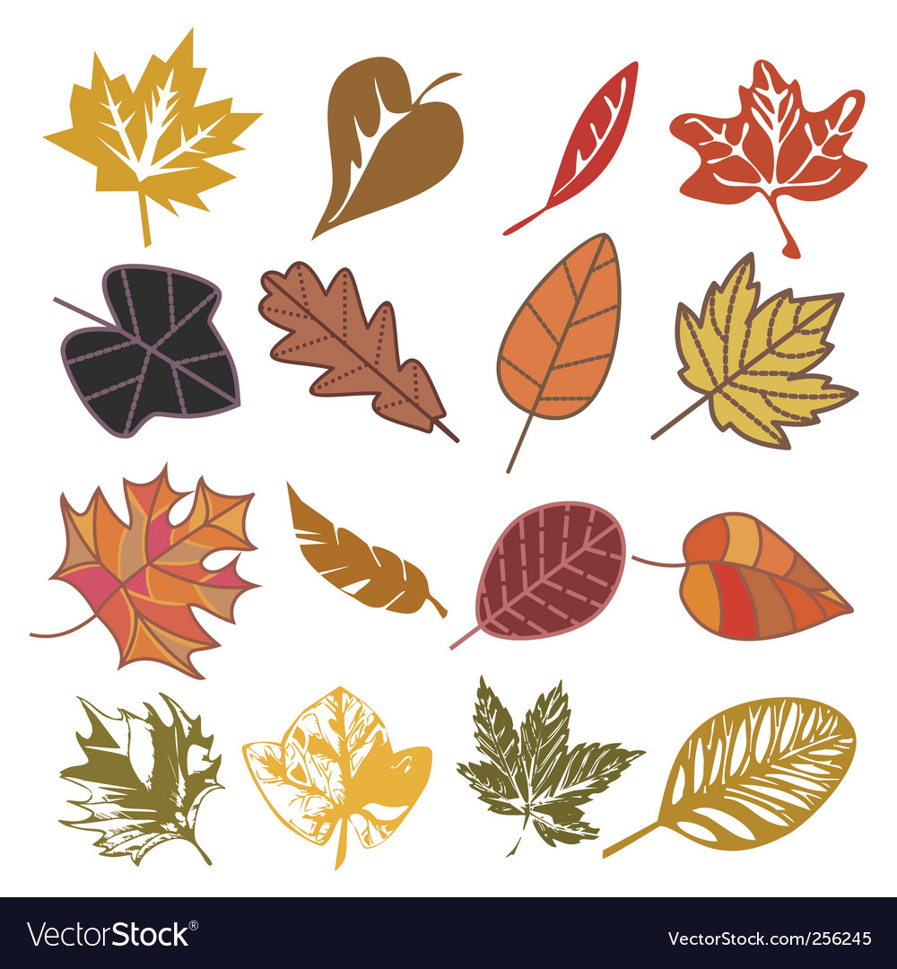 Set autumn leaves Royalty Free Vector Image - VectorStock