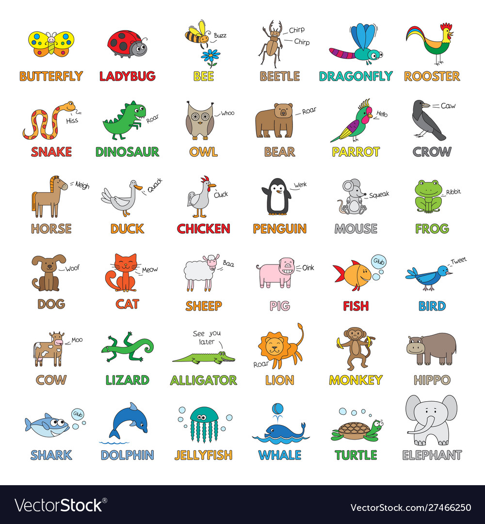 Cartoon animals for children education Royalty Free Vector