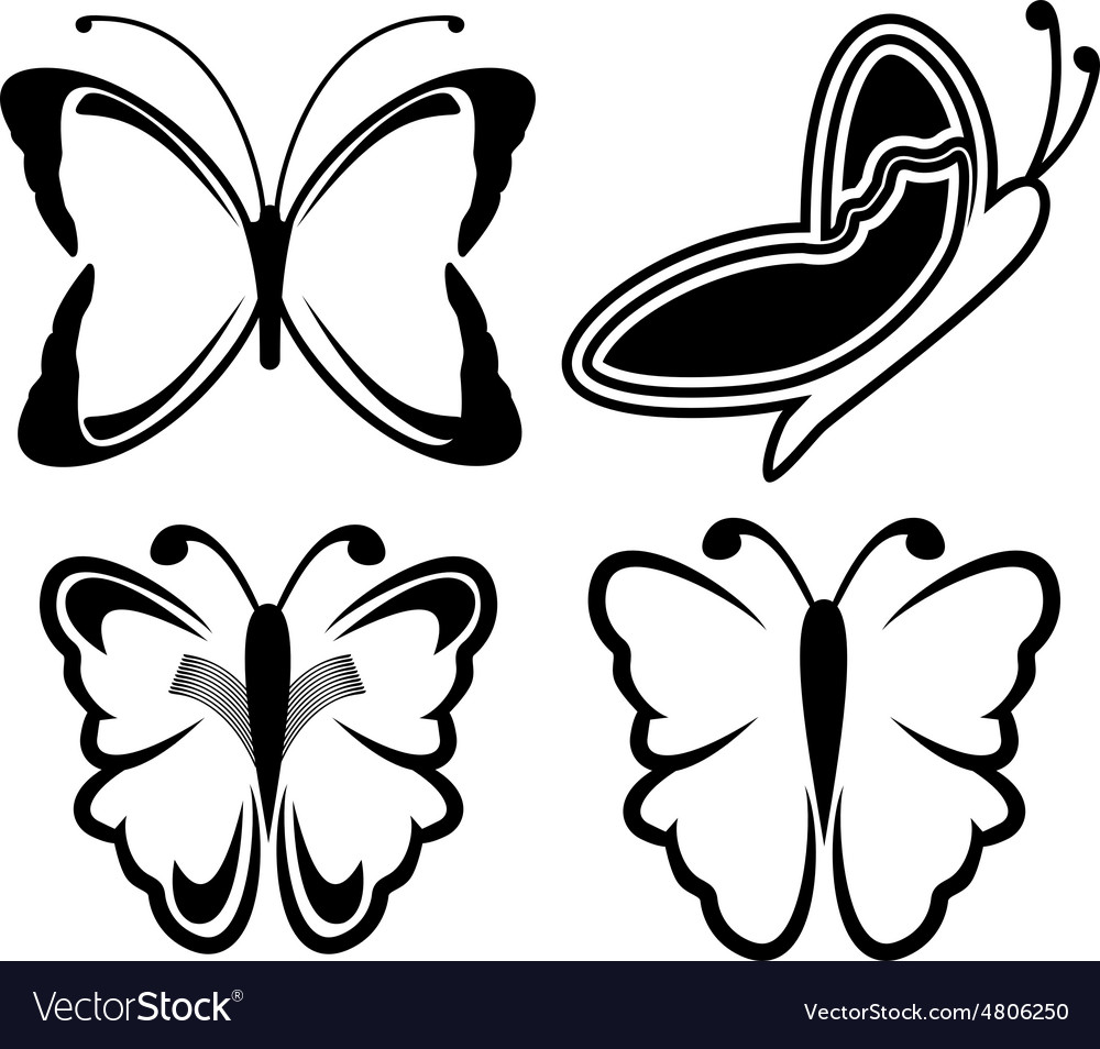 Elegant Black Butterfly