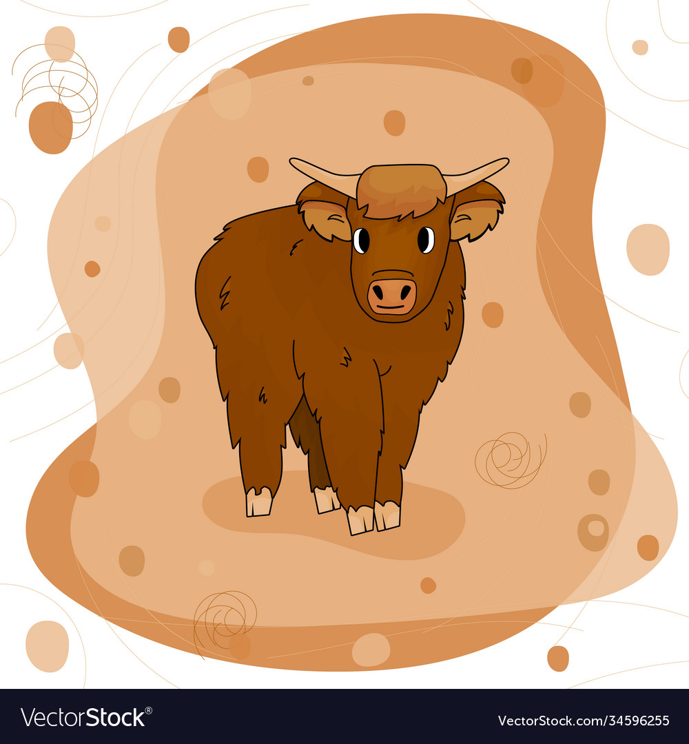 Cute cartoon bull high land cow is standing