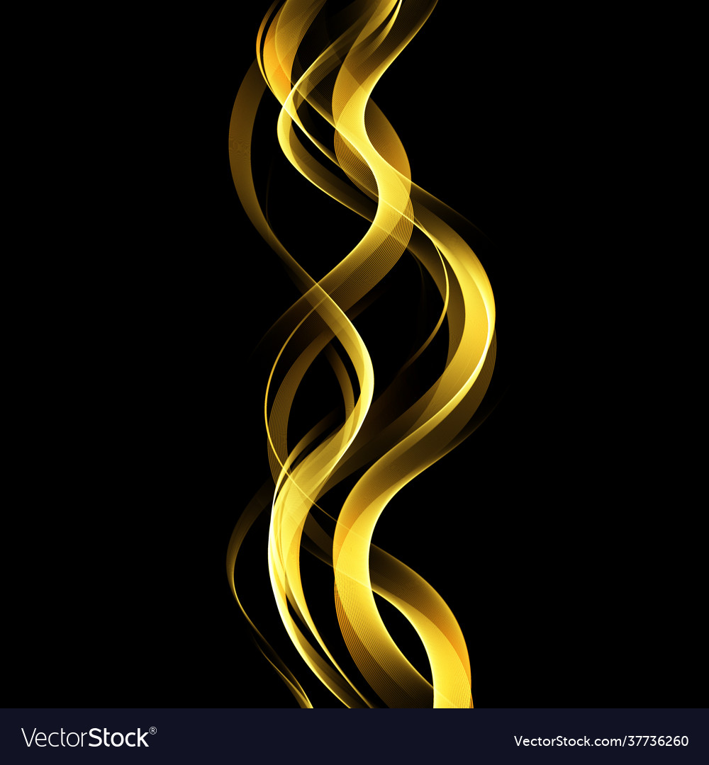 Abstract color gold wave design element vector image Abstract color gold wave design element