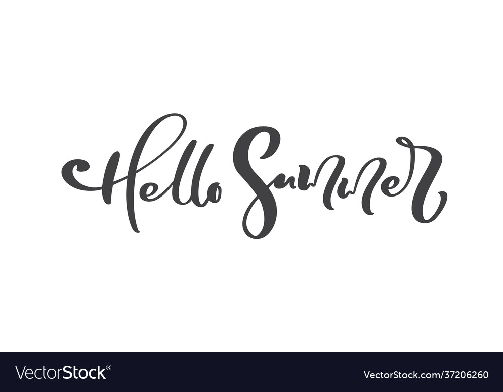 Calligraphy lettering brush text hello summer