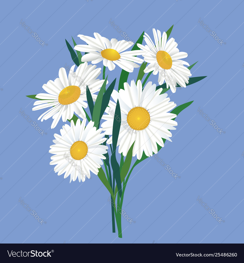 Flower bouquet floral frame flourish greeting Vector Image