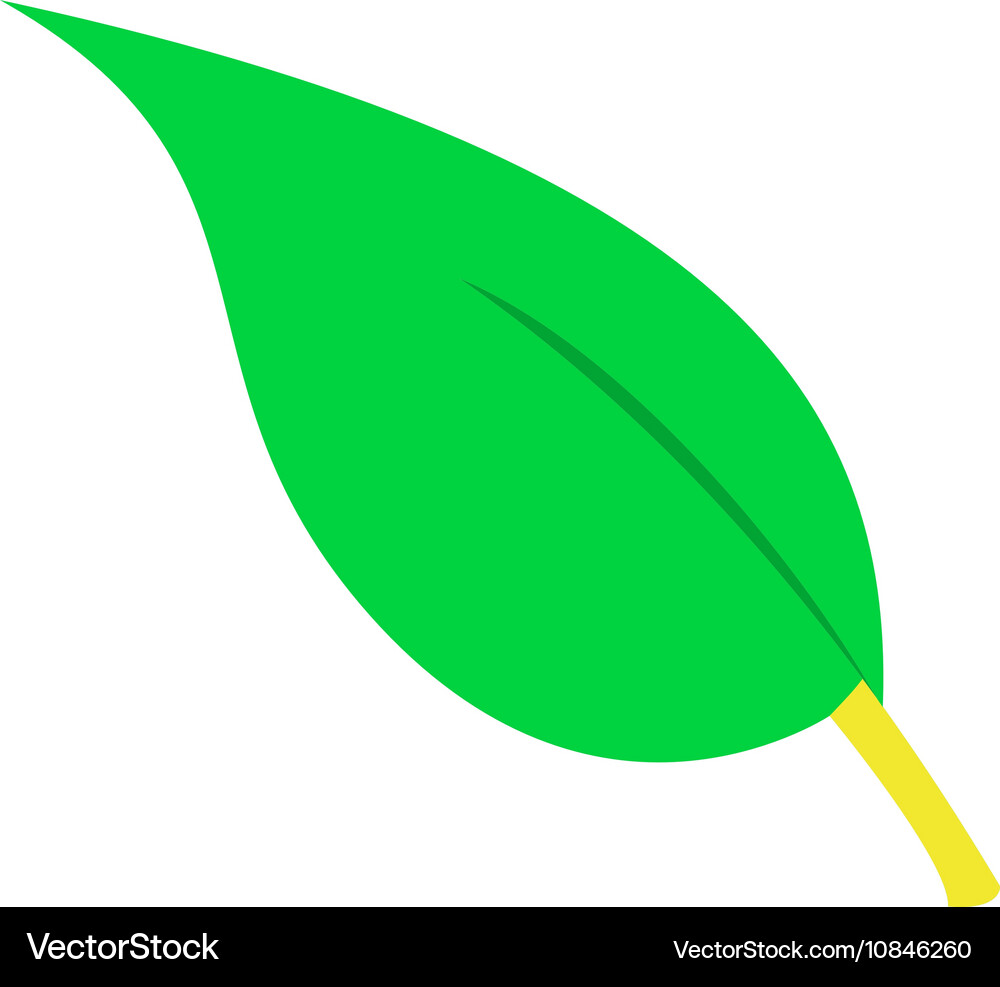 Leaf icon Royalty Free Vector Image - VectorStock