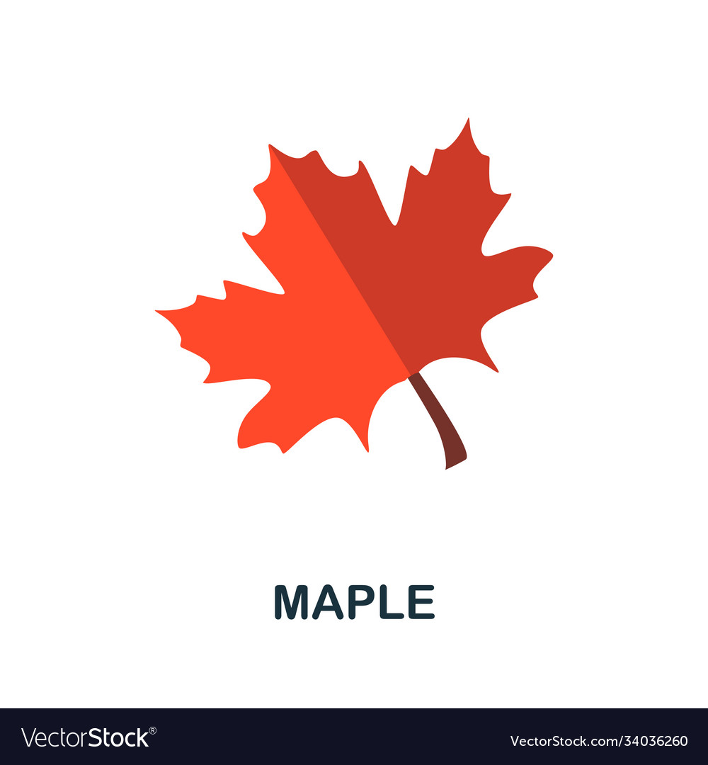 Maple icon simple element from autumn collection vector image Maple icon simple element from autumn collection