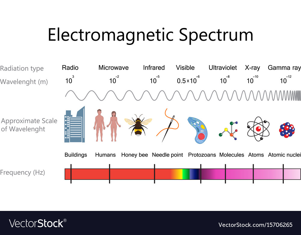 electromagnetic spectrum diagram labeled