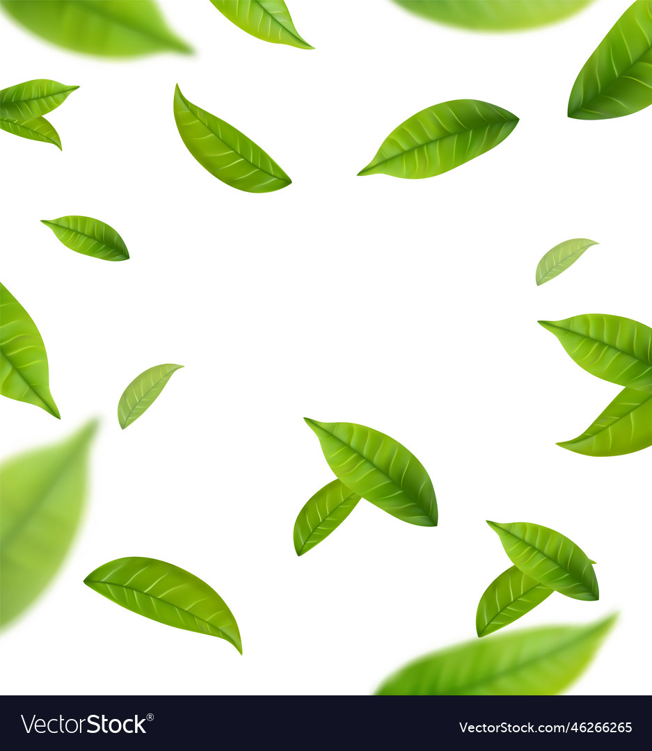 Realistic green tea leaves in motion