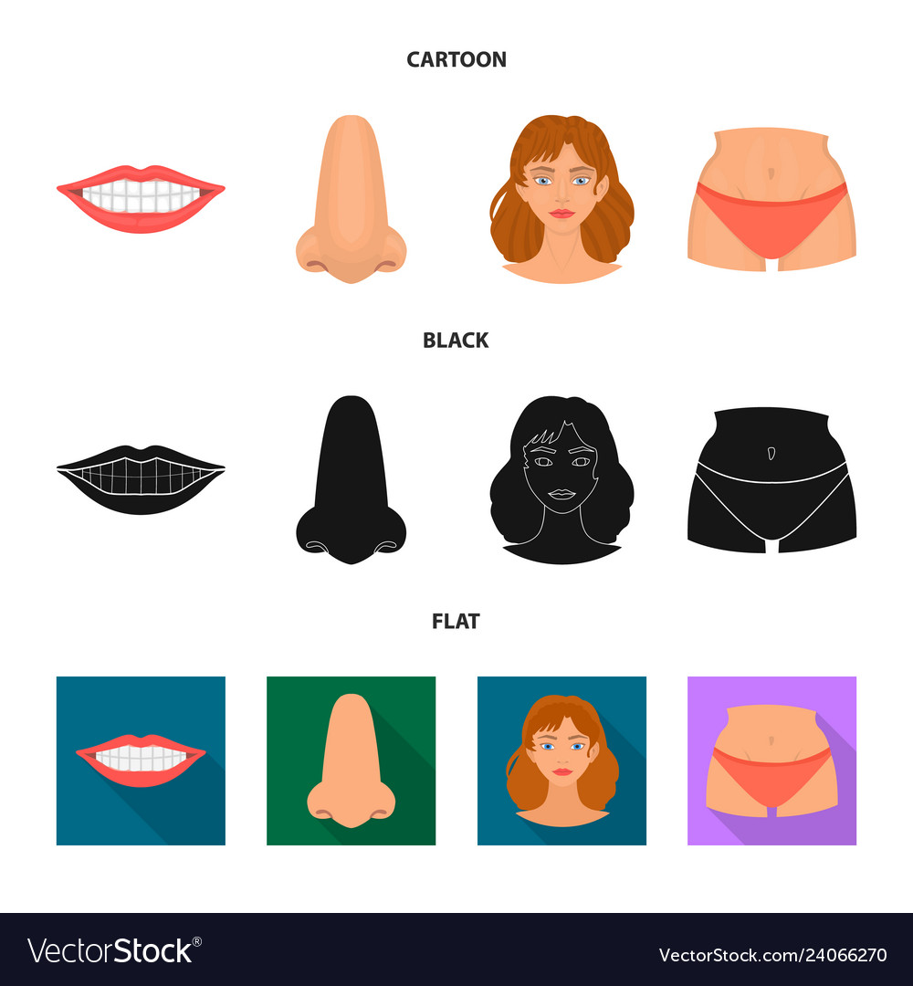 Isolated object of body and part symbol vector image Isolated object of body and part symbol