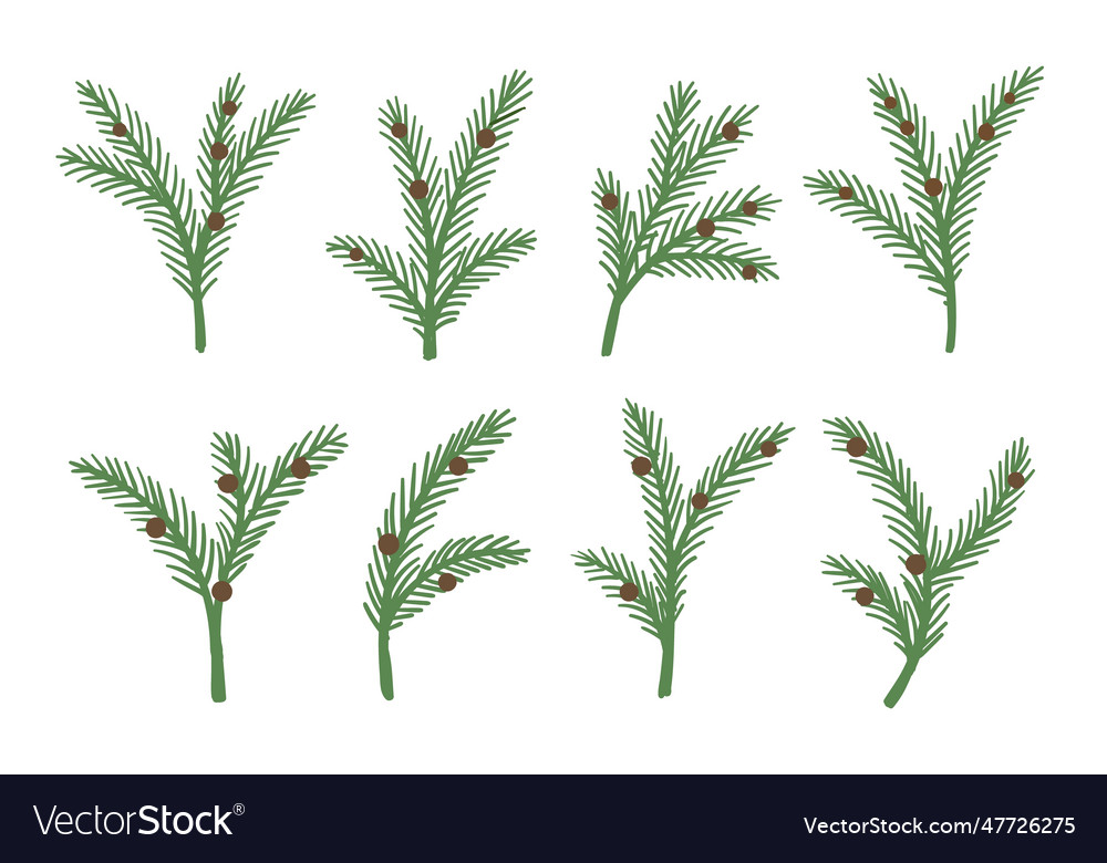 Set of christmas tree pine spruce or fir green Vector Image
