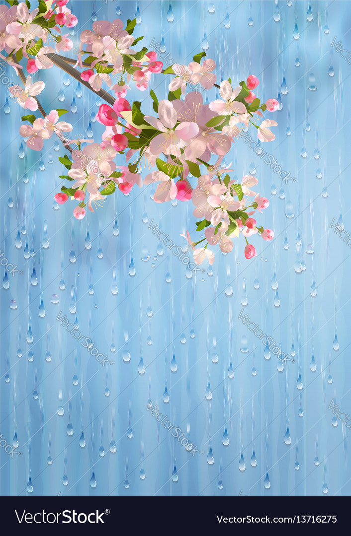 Spring flowers rain Royalty Free Vector Image VectorStock