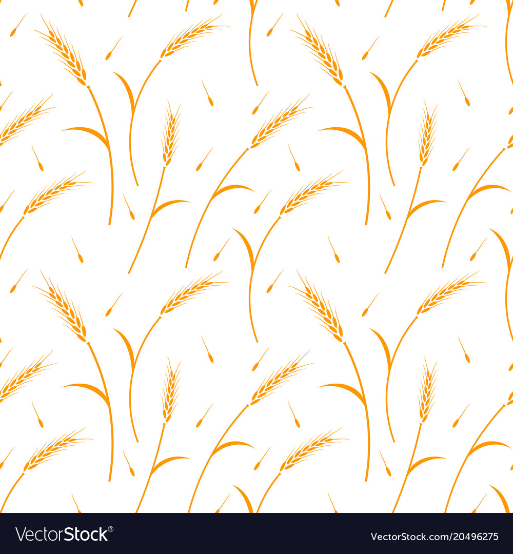 Whole grain natural organic background Royalty Free Vector