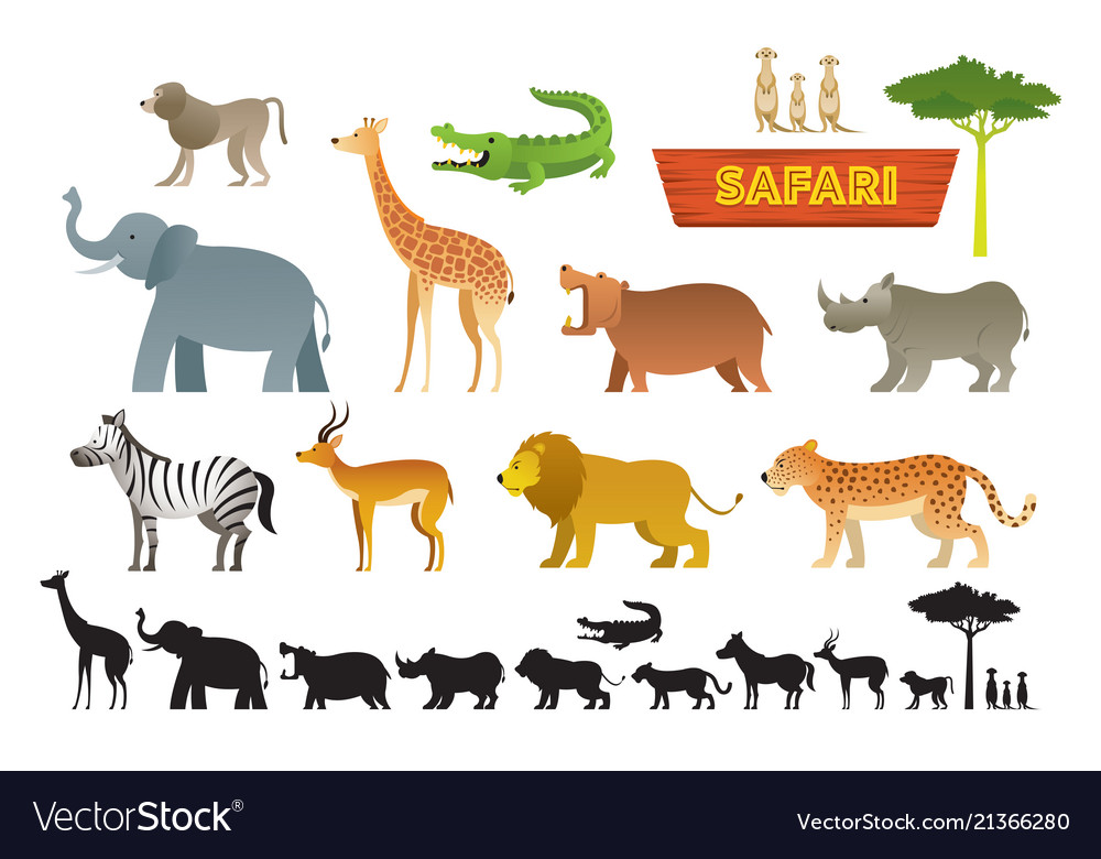 safari animals