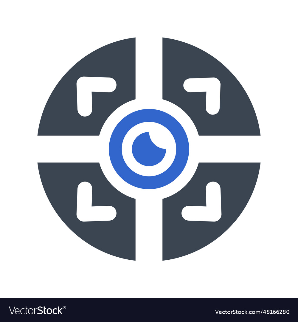 Camera controls icon