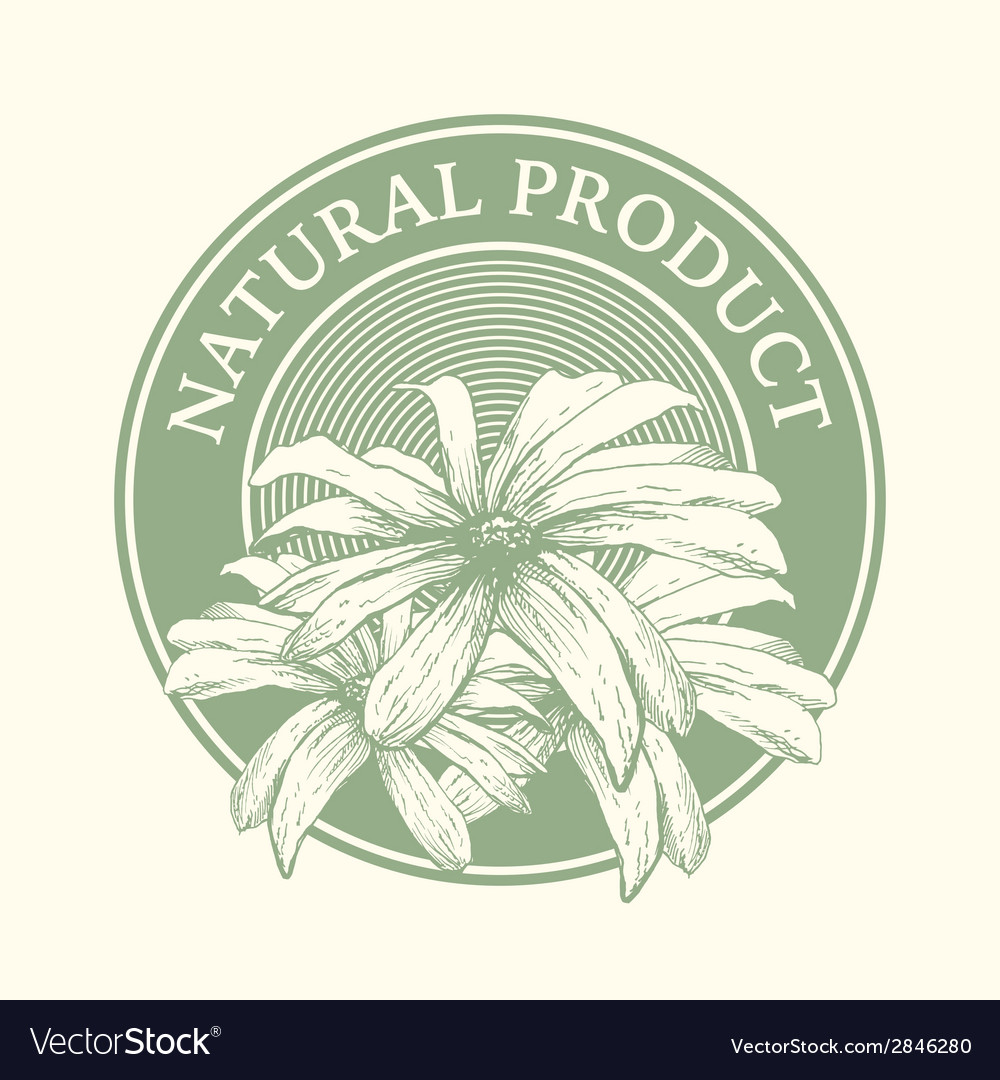 Food design over white background Royalty Free Vector Image