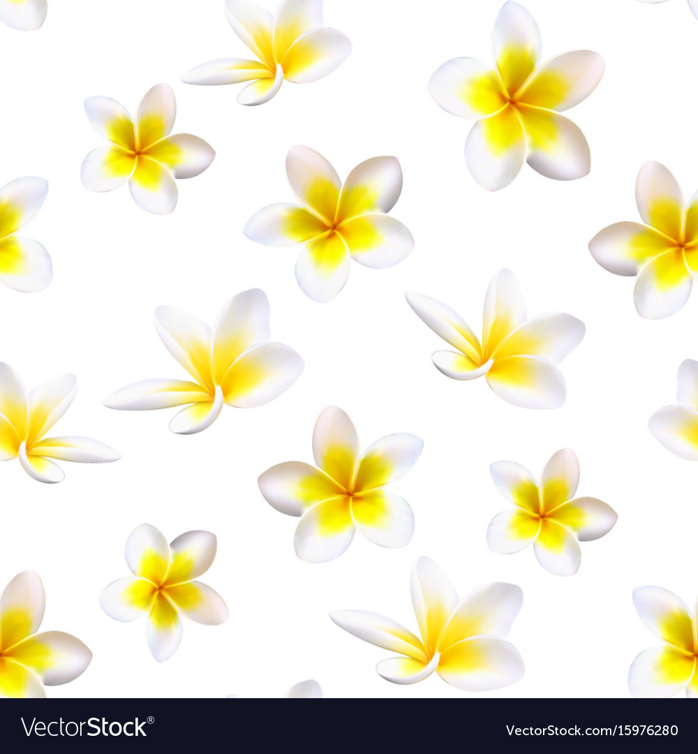 Plumeria tropical flowers seamless pattern