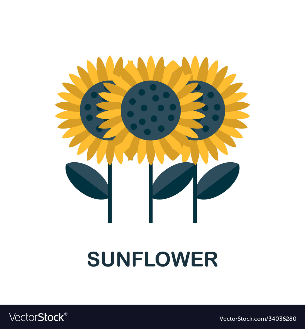 Sunflower icon simple element from autumn