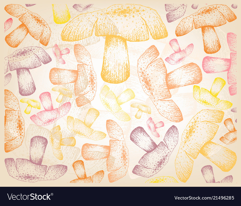 Hand drawn wallpaper background of autumn mushroom